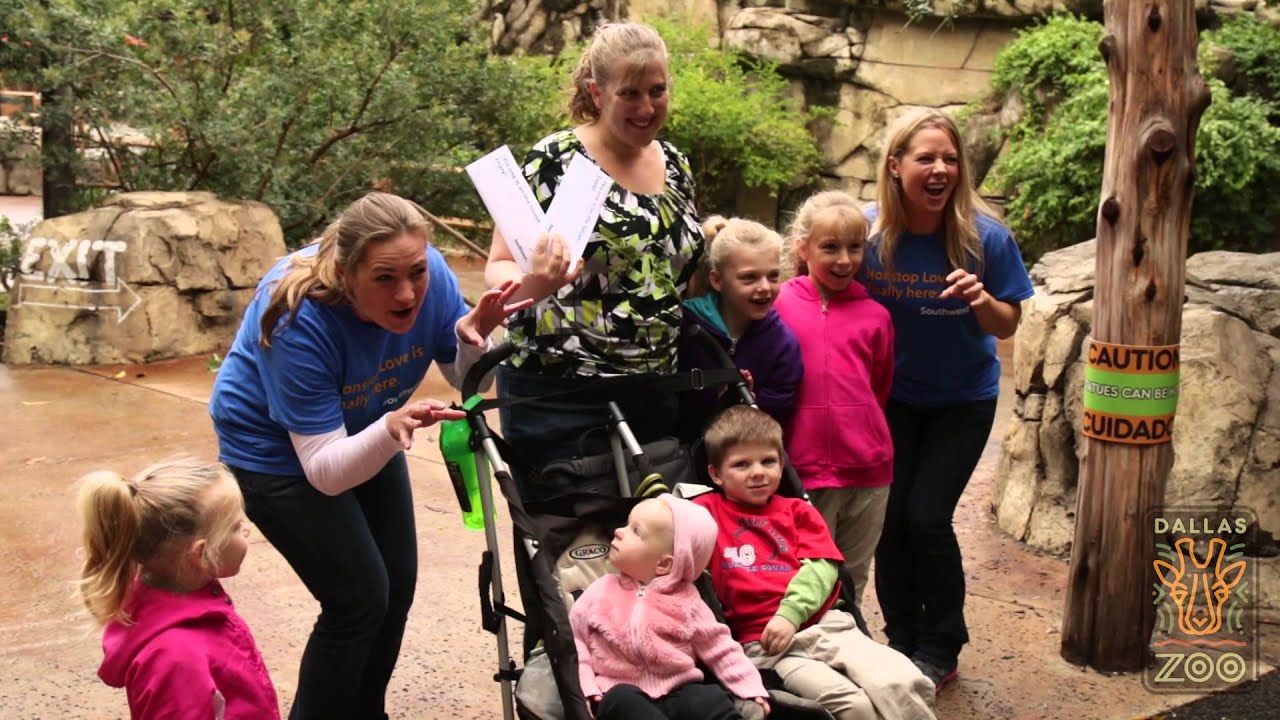 Southwest Airlines rewards Dallas Zoo guests with free tickets YouTube