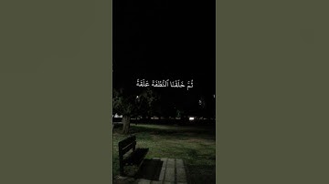استخدموا الصوت 🖤🙂/ #القارئ_ياسر_الدوسري #تلاوة_خاشعة #اجر #karim_quran_1 #quran