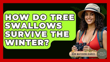 How Do Tree Swallows Survive The Winter? - Bird Watching Diaries