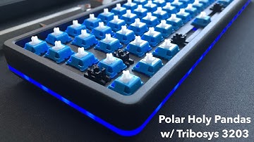 Drop Alt HP w/ lubed Polar Holy Pandas Typing Sounds (Tribosys 3203)