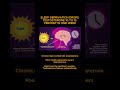 Fix your circadian rhythm #testosterone #gym #circadianrhythm