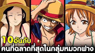 วันพีช - 10อันดับ คนที่ฉลาดที่สุดในกลุ่มหมวกฟาง [KOMNA CHANNEL]