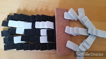 Domino in Slow Motion