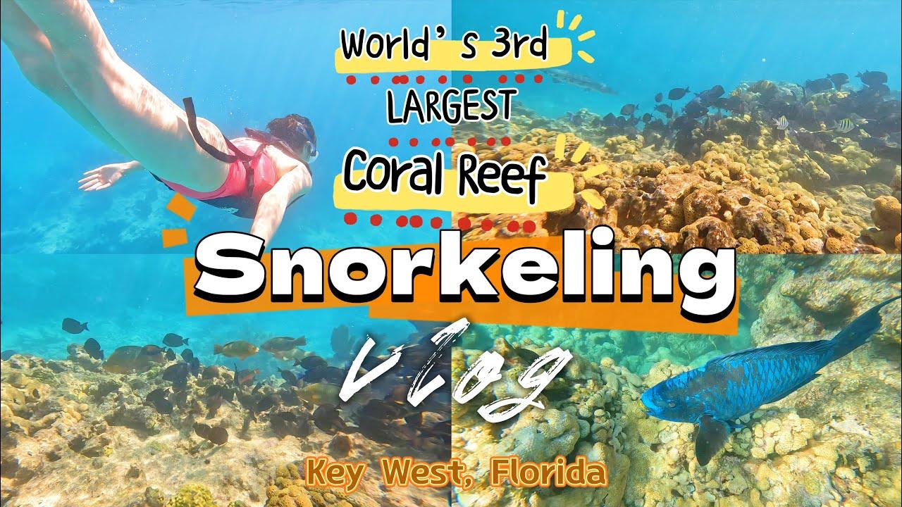 Snorkeling in World's Third Largest Coral Reef - Florida's Coral Reef ...