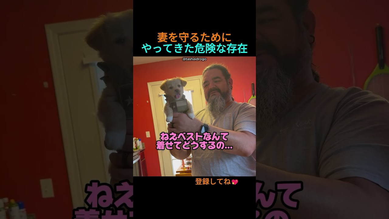 危険な存在が家にやってきた