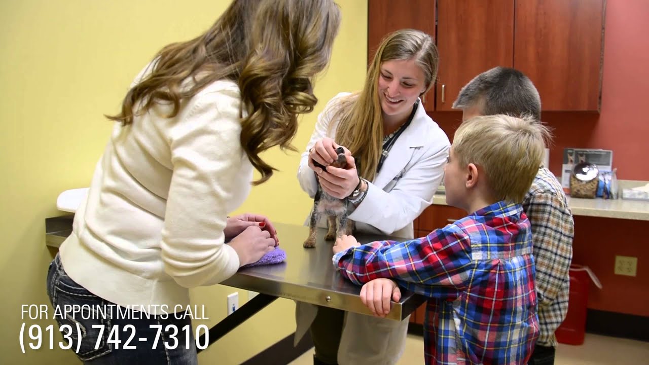 Great Plains SPCA: Veterinary Care Center