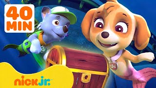 PAW Patrol Daring Mermaid, Jungle Pup Adventures \& More🧜‍♀️ w\/ Skye \& Rocky | 40 Minutes | Nick Jr.