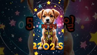 5월10일 개띠운세#일일운세 #띠별운세 #funnyshorts