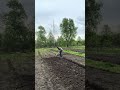 Стосунки це не боротьба, а спільна праця.
