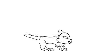 Cat animation test