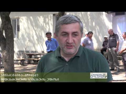 მუნიციპალიტეტის ხელმძღვანელობამ სოფლის პროგრამის მიმდინარეობა დაათვალიერა