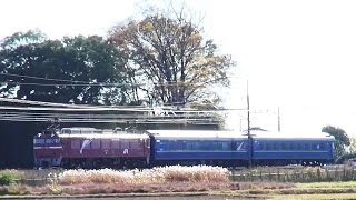 EF81 133 24系配給ヒガハス 2015.12.4