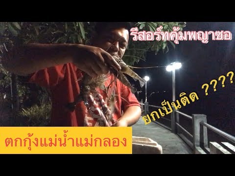 ตกกุ้งแม่น้ำแม่กลอง//ณ รีสอร์ทคุ้มพญาซอ//HD//จุ๊จุ๊ ออนทัวร์ EP:413