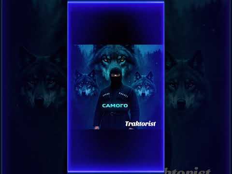Волк живёт свободно, собака служит