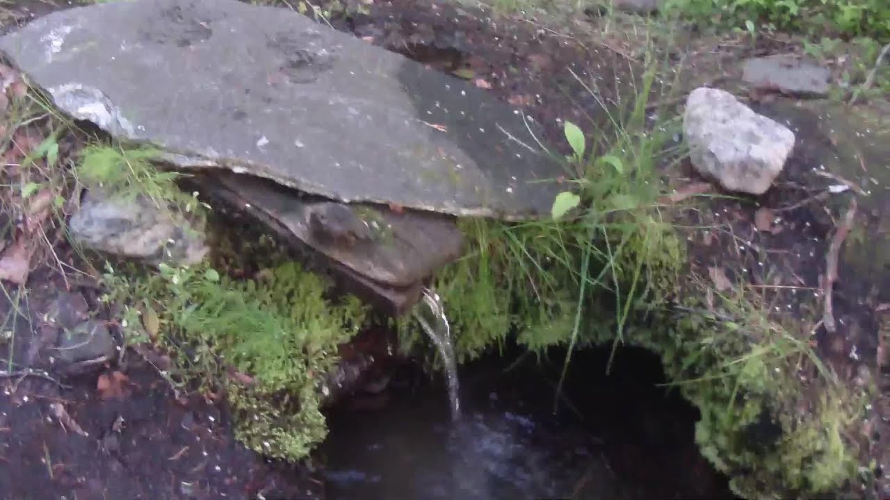 Карелия 2017 о Олений Чупская губа Прогулка на родник - YouTube