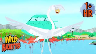 Activate Flamingo Powers Wheres The Pink? Creature Transformations Wild Kratts