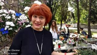 Потрясающая флористика . День города Днепр . Интерьвью с Еленой Дикаловой . Потрясающая флористика . День города Днепр . Интерьвью с Еленой Дикаловой .