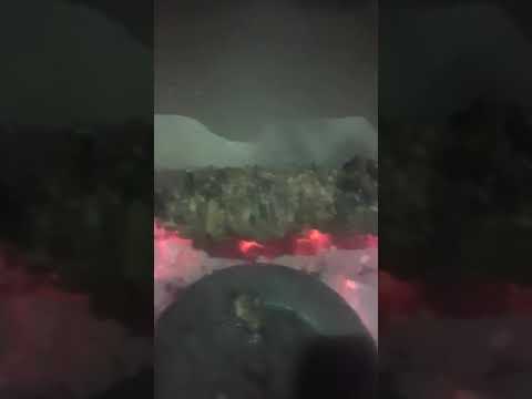 شاورما لحم على الفحم كص شاورما على الفحم كص علا الفحم لحم لحمه