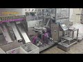 High- speed fully automatic packing machine/black pepper,durg granule,chilli powder