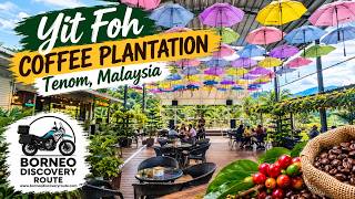 Download lagu Yit Foh Coffee Plantation, Tenom, Sabah 🇲🇾 | A Must-Visit Stop in Borneo! ☕