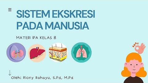 Pada saat suhu udara tinggi mengapa manusia lebih banyak mengeluarkan keringat dibandingkan urine