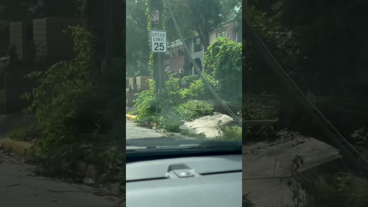 Myers park Tallahassee damage from 5/10/2024 tornadoes