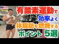 【大会3日前】有酸素運動で効率よく体脂肪を燃やすポイント5選です。