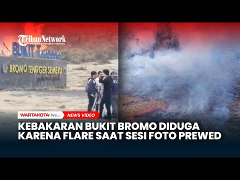 Viral Bukit Teletubies Bromo Kebakaran Disebut Karena Flare saat Sesi Foto Prewed
