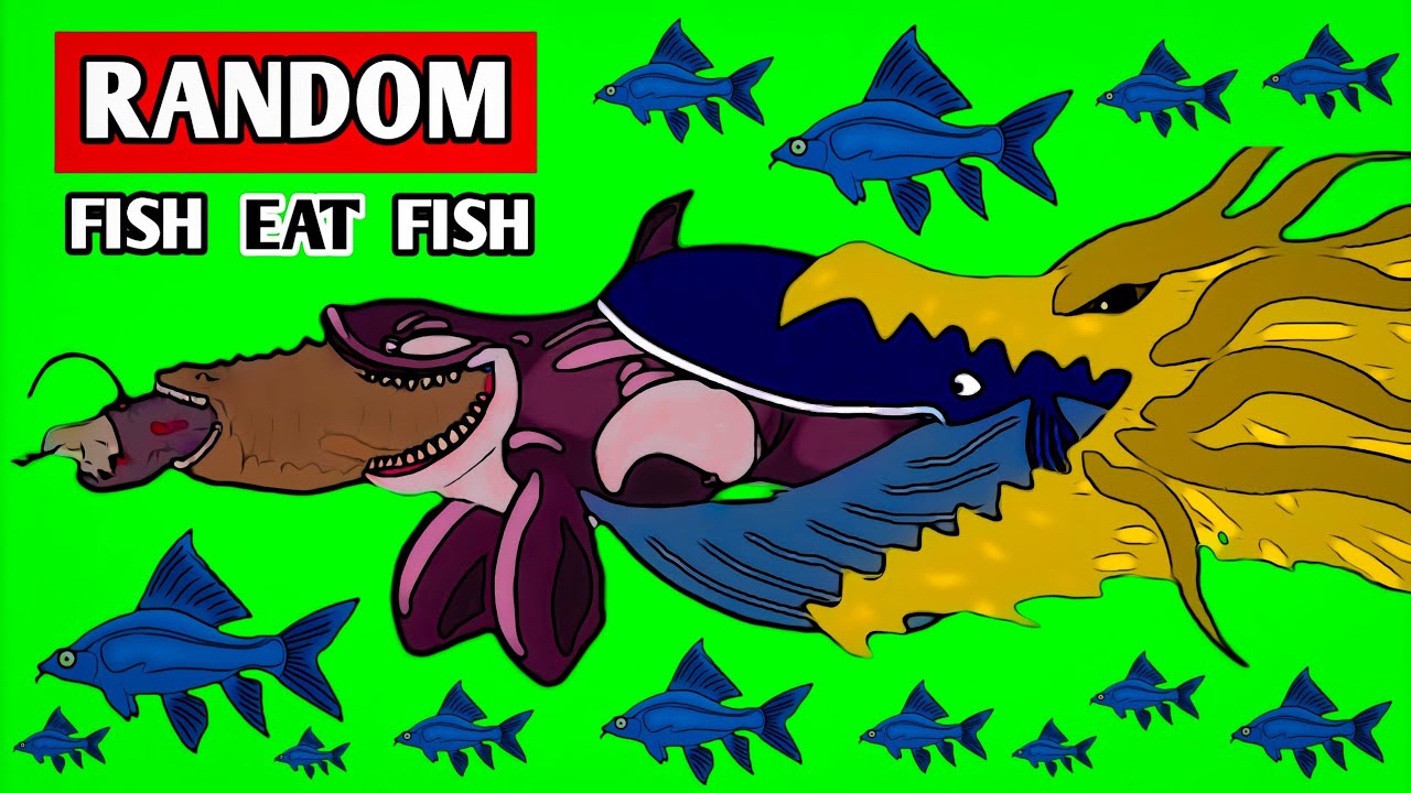 Random Fish Eat Random Fish | Size Comparison‼️ - YouTube