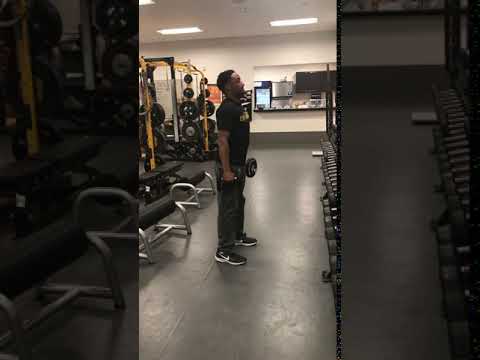 2 Dumbbell Vertical