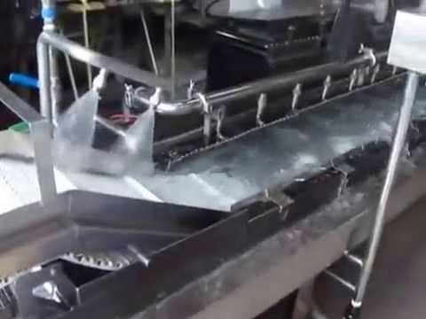 HOSODA Continuous Washer with Discharge Conveyor - YouTube