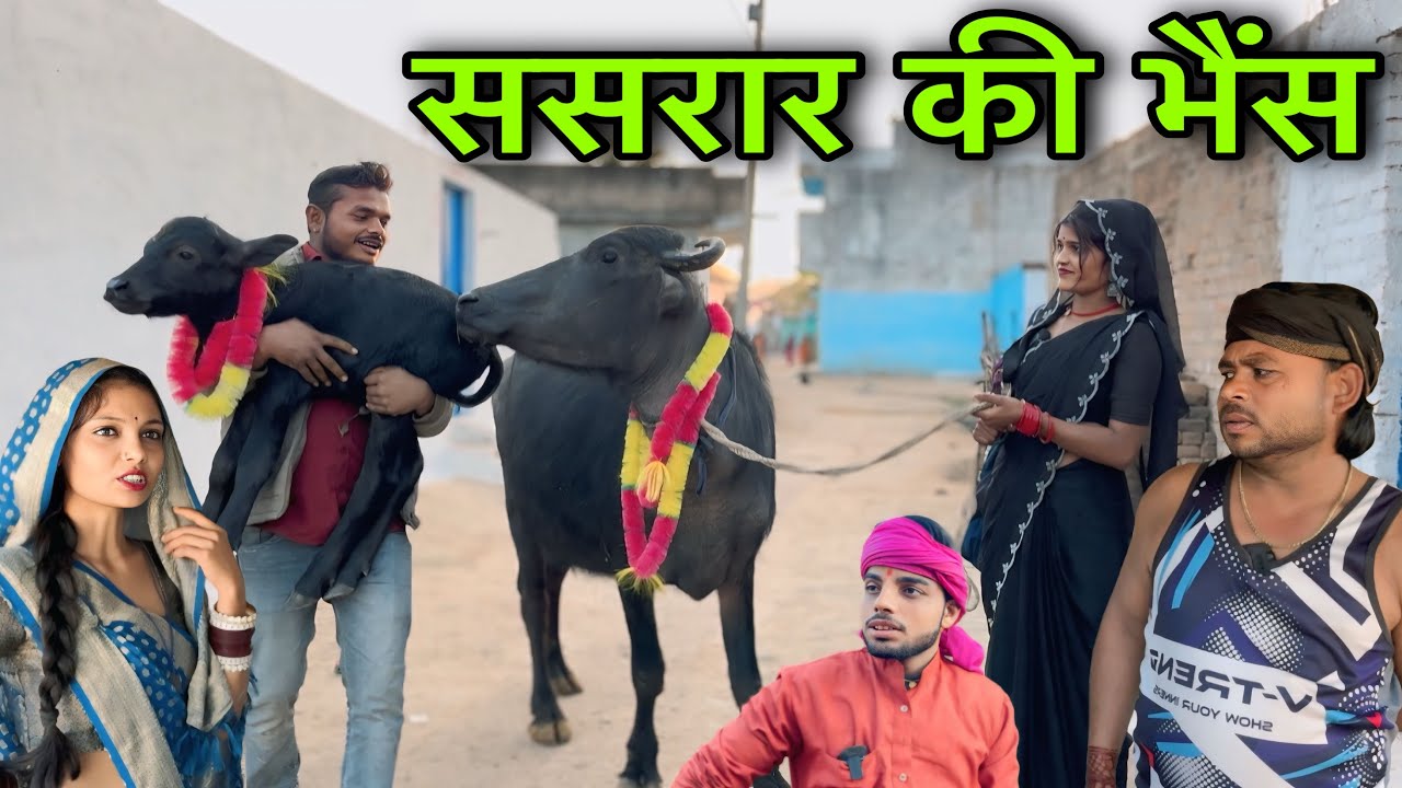 ससरार की भैंस ।। बुंदेली शॉर्ट फिल्म ।। bundeli comedy sunil devraj ki comedy