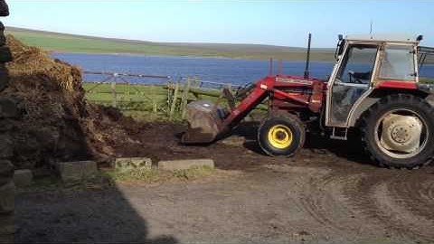 Goodbye dung heap :-)