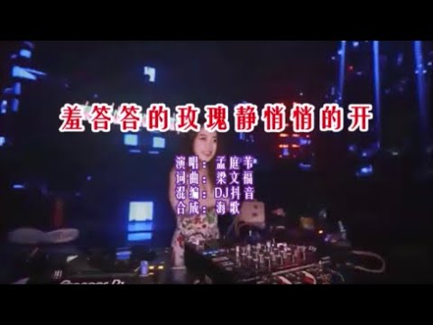 孟庭苇 《羞答答的玫瑰静悄悄的开（DJ抖音版）》 KTV 导唱字幕 （备有伴奏视频）
