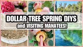 DOLLAR TREE DIY DECOR FOR SPRING 2023 | BIRTHDAY ROAD TRIP VISITING FLORIDA MANATEES STATE PARK