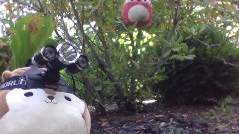 Stop Motion Squishmallows: Outdoor Adventures | A Squishmallows animation