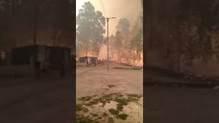 Encendio en San Pedro Batallans.domingo 15 octubre