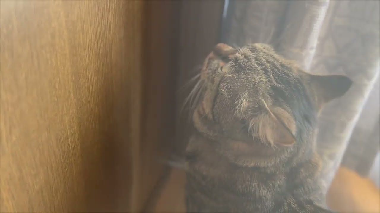 There is a restricted room 20251207