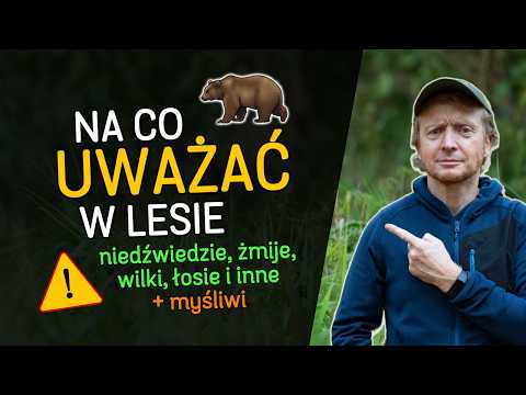 How animals warn us? How should we behave during meetings?