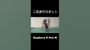 Raspberry Pi Pico W で二足歩行ロボット