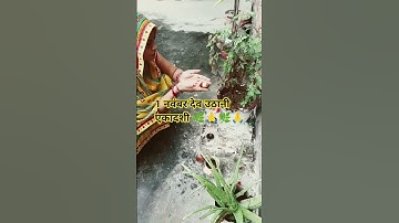 1 नवंबर देवउठनी एकादशी #pandit Pradeep Mishra ji #short