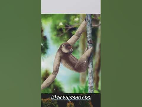 вымершие виды животных/8 - YouTube