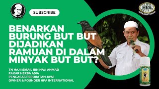 ZALIM!!! BENARKAH BURUNG BUT-BUT DIGUNAKAN SEBAGAI RAMUAN MINYAK BUT-BUT