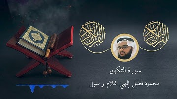 سورة التكوير - محمود فضل | Surat Al-Takwir - Mahmoud Fadl