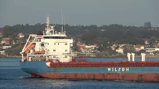 WILSON SAGA General Cargo