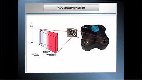 Measuring molecular interactions by multi-wavelength analytical ultracentrifugation