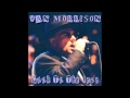 Van Morrison - Bulbs