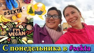 КАК ПОХУДЕТЬ К НОВОМУ ГОДУ | SEKTA - ШКОЛА ИДЕАЛЬНОГО ТЕЛА SEKTASCHOOL | СПОРТ + ПИТАНИЕ | ВЕГАНСТВО