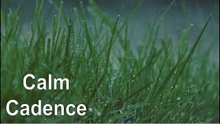 Calm Cadence: Relaxing Music for Enhanced Focus in Study and Work
