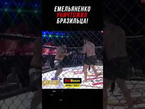 Видео: Александр Емельяненко Против Дерзкого Бразильца!